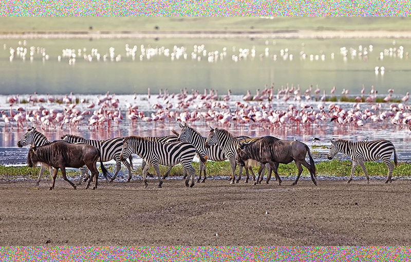 Lake Manyara National Park