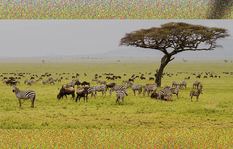 Serengeti National Park