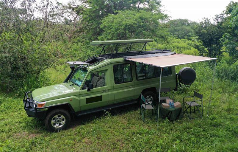 Signature Safari Vehicle