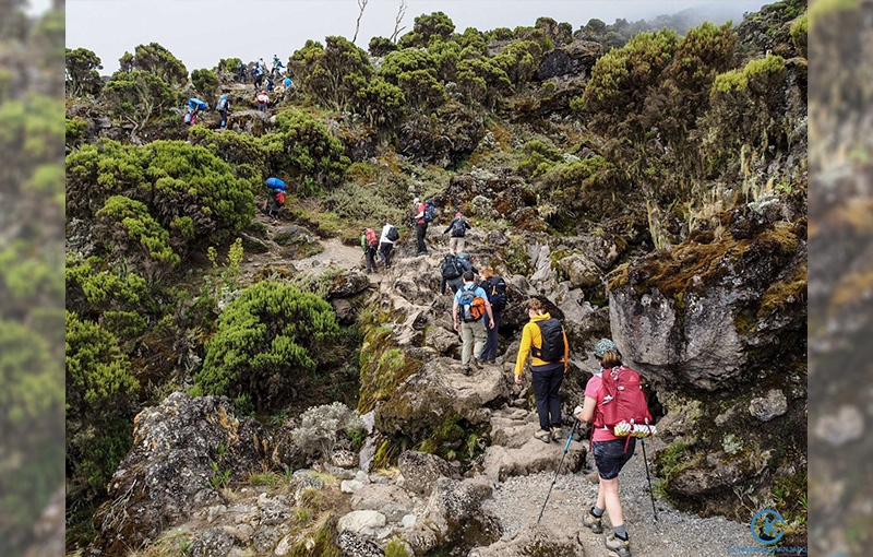 Mountain Kilimanjaro Climbing